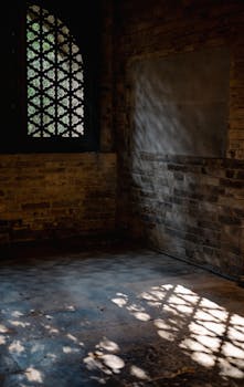 李扬:影响我国中长期经济运行的四大金融因素 新闻