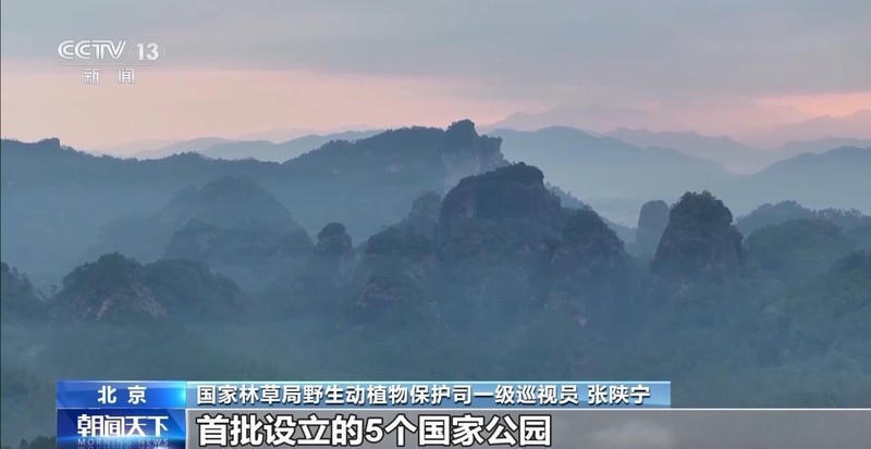  春天里的温馨团聚，珍稀生灵自由漫步；我国生态守护成果显著显现。 文化旅游