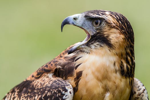 中国App Store费率迎来优化；开发者成本下降，消费者获益明显；行业生态趋向公平竞争。