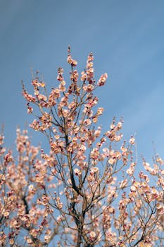 春风唤醒花海，赏花游从浅尝转向深度沉浸。