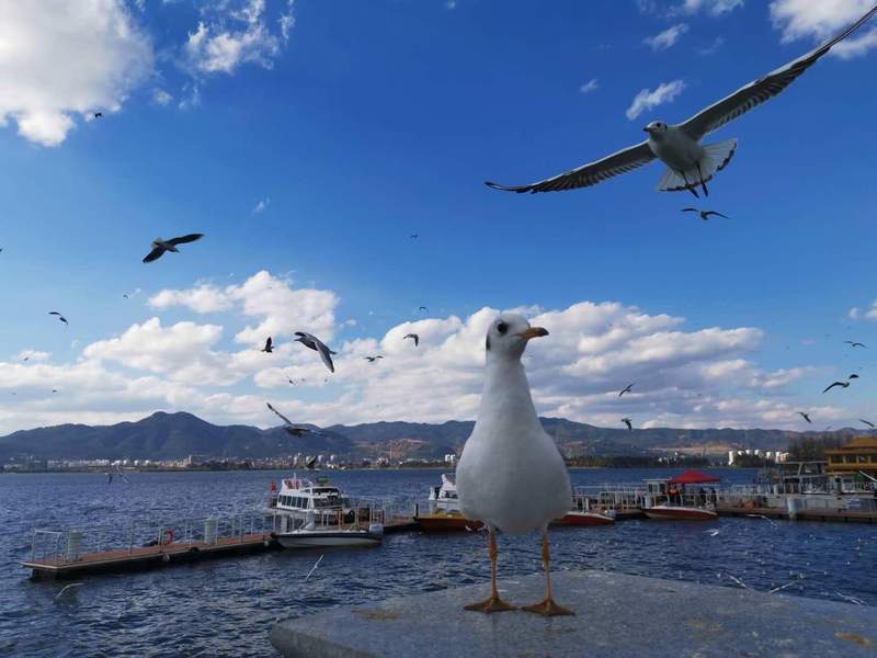 宿舍建设标准化体系:重塑高等教育居住环境的品质效能 教育招生