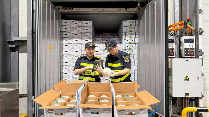 揭秘蓝莓产业变局,一场从高端暴利到大众消费的突围 新闻