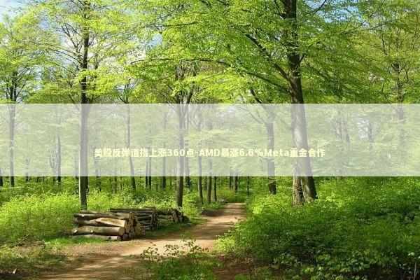 美股反弹道指上涨360点-AMD暴涨6.6%Meta重金合作 新闻