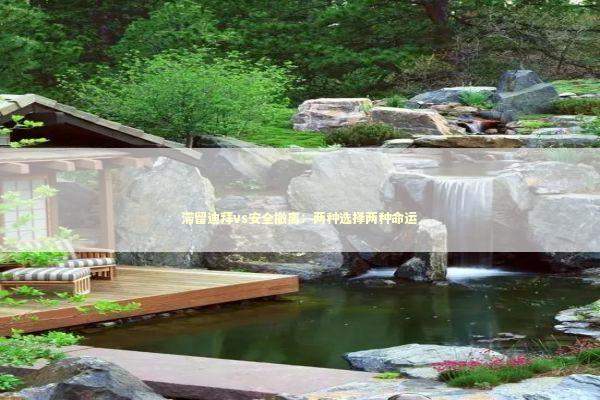 滞留迪拜vs安全撤离：两种选择两种命运 新闻