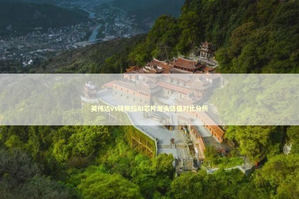 英伟达vs特斯拉AI芯片龙头估值对比分析 新闻