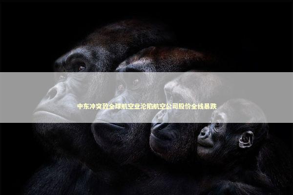 中东冲突致全球航空业沦陷航空公司股价全线暴跌 新闻
