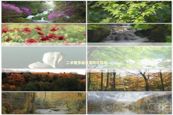 二手奢侈品交易防坑指南 二手奢侈品交易防坑指南 新闻