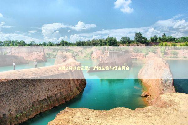 A股2月收官记录：沪指走势与投资机会 新闻