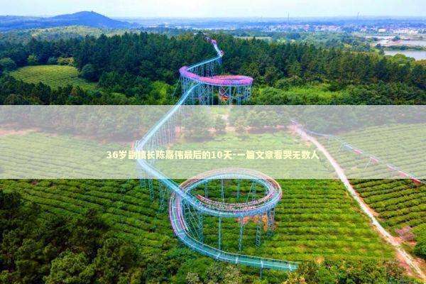 36岁副镇长陈嘉伟最后的10天-一篇文章看哭无数人 新闻