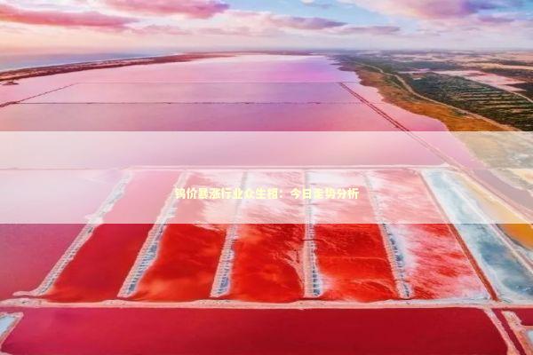 钨价暴涨行业众生相：今日走势分析 新闻