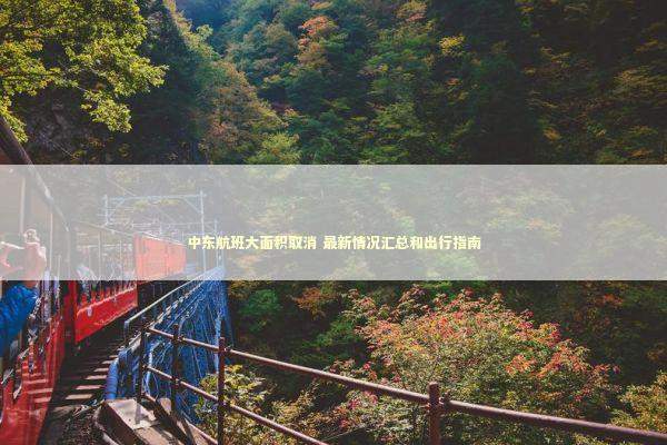 中东航班大面积取消 最新情况汇总和出行指南 新闻