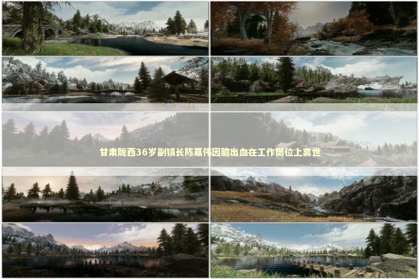 甘肃陇西36岁副镇长陈嘉伟因脑出血在工作岗位上离世 甘肃陇西36岁副镇长陈嘉伟因脑出血在工作岗位上离世 新闻