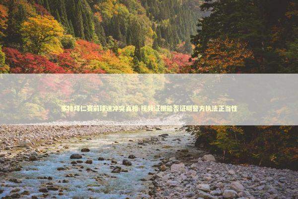 多特拜仁赛前球迷冲突真相 视频证据能否证明警方执法正当性 新闻