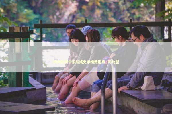 四大航司中东航线免手续费退票_对比型 新闻