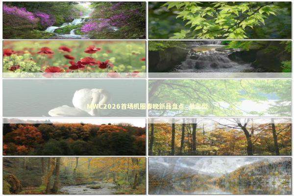 MWC2026首场机圈春晚新品盘点_悬念型 新闻