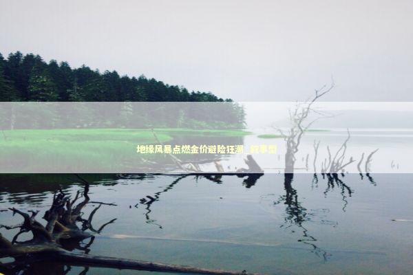 地缘风暴点燃金价避险狂潮_叙事型 新闻