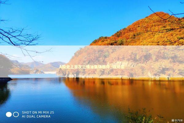 A股史上首次三桶油集体涨停_议论型 新闻