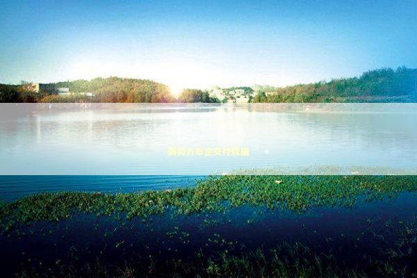 新势力车企交付数据 新闻