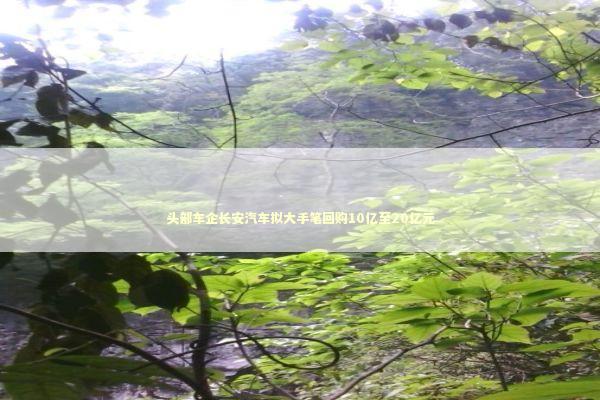 头部车企长安汽车拟大手笔回购10亿至20亿元 新闻