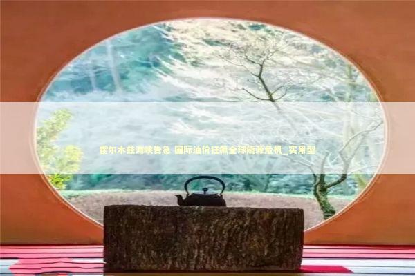 霍尔木兹海峡告急 国际油价狂飙全球能源危机_实用型 新闻