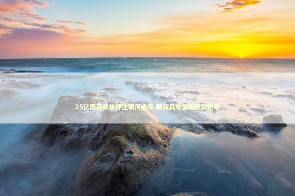 25亿国资集体押注银河通用 刷新具身智能融资纪录 新闻