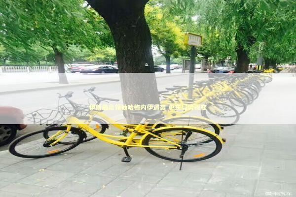 伊朗最高领袖哈梅内伊遇袭 中东局势骤变 新闻