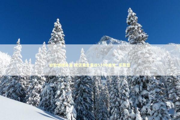 避险情绪升温 现货黄金重返5300美元_实用型 新闻