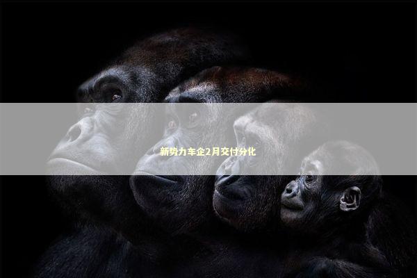 新势力车企2月交付分化 新闻