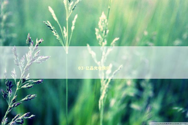 03-亿晶光电跌停 新闻