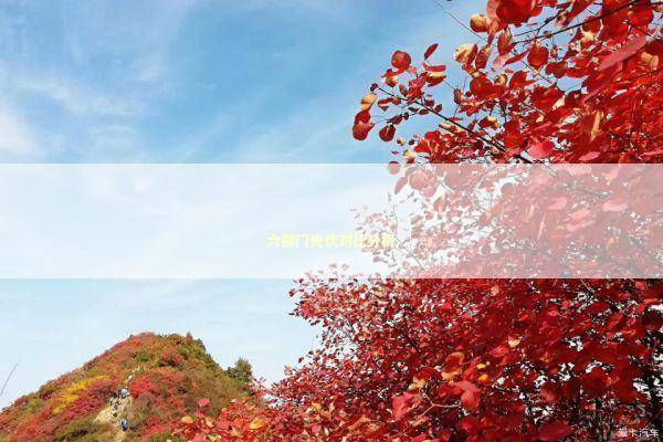 六部门光伏对比分析 六部门光伏对比分析 新闻