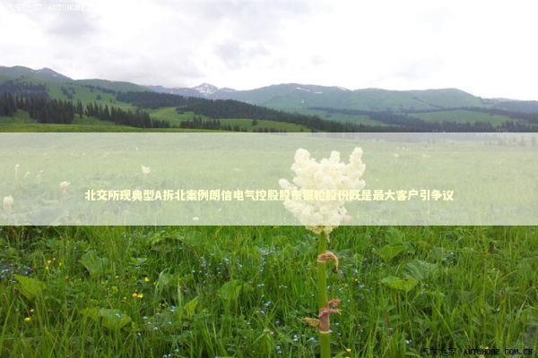 北交所现典型A拆北案例朗信电气控股股东银轮股份既是最大客户引争议 新闻