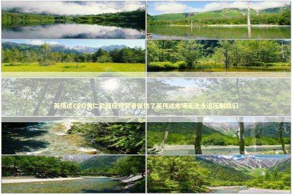 英伟达CEO黄仁勋回应投资者低估了英伟达市场无法永远压制我们 新闻