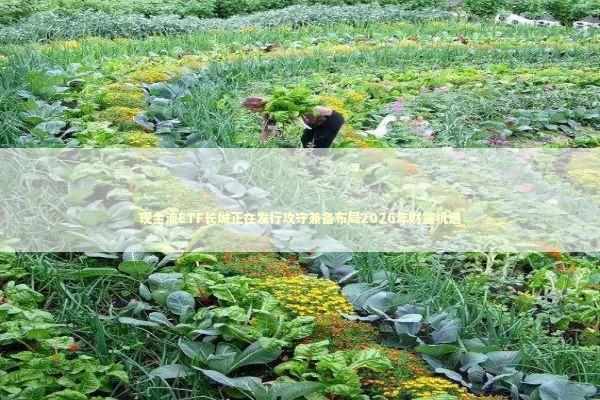 现金流ETF长城正在发行攻守兼备布局2026年财富机遇 现金流ETF长城正在发行攻守兼备布局2026年财富机遇 新闻