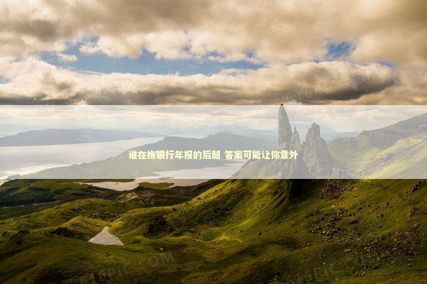 谁在拖银行年报的后腿 答案可能让你意外 新闻