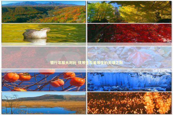 银行年报大对比 优等生与差等生的天壤之别 新闻