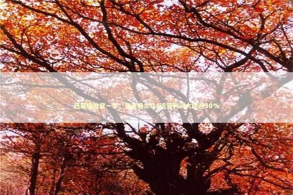 巴菲特收官一季:伯克希尔Q4运营利润大跌近30% 巴菲特收官一季:伯克希尔Q4运营利润大跌近30% 新闻