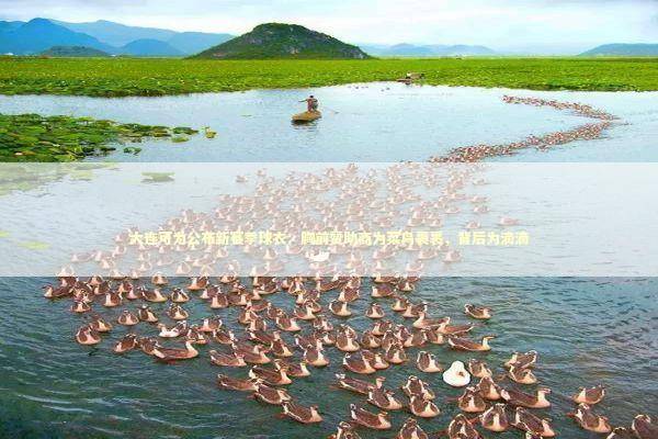 大连可为公布新赛季球衣：胸前赞助商为菜鸟裹裹，背后为滴滴 新闻