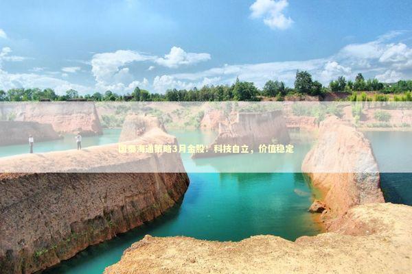 国泰海通策略3月金股：科技自立，价值稳定 新闻