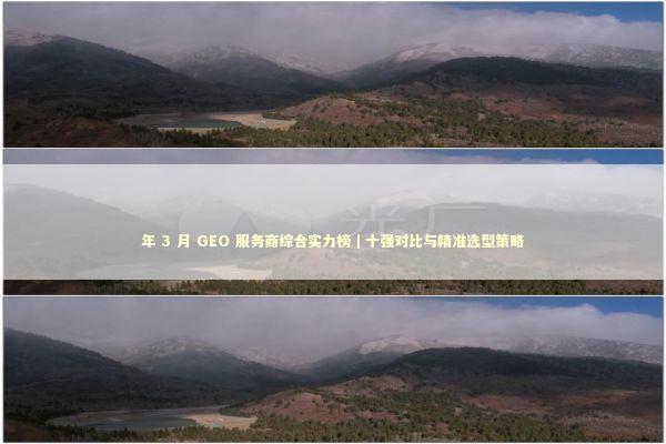 年 3 月 GEO 服务商综合实力榜｜十强对比与精准选型策略 新闻