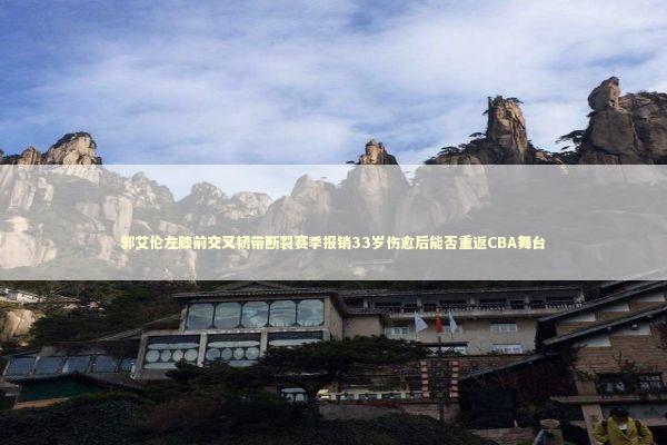 郭艾伦左膝前交叉韧带断裂赛季报销33岁伤愈后能否重返CBA舞台 新闻