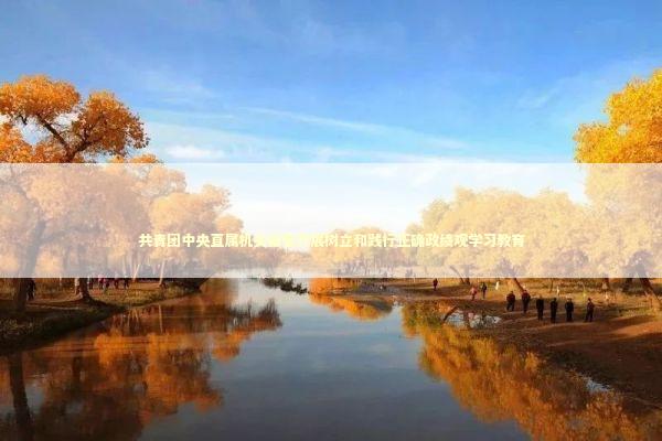 共青团中央直属机关部署开展树立和践行正确政绩观学习教育 新闻