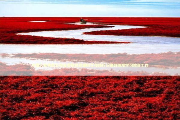 中国人寿寿险公司党委研究部署树立和践行正确政绩观学习教育工作 新闻