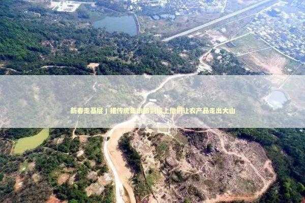 新春走基层丨把传统集市搬到线上他们让农产品走出大山 新闻