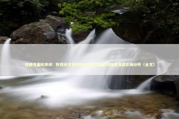 楼继伟重磅演讲：财政赤字货币化在中国实施的可能性及其影响分析（全文） 新闻