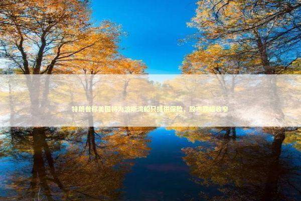 特朗普称美国将为波斯湾船只提供保险,股市跌幅收窄 特朗普称美国将为波斯湾船只提供保险,股市跌幅收窄 新闻