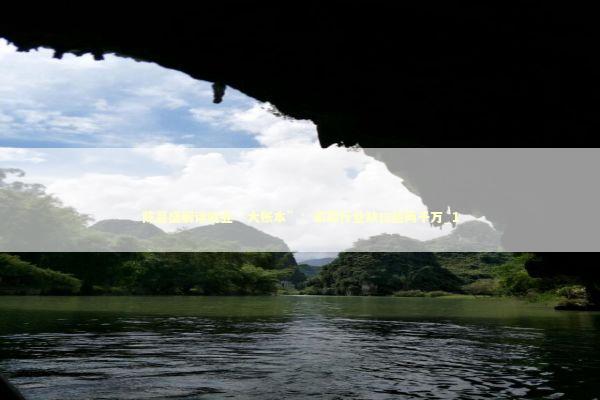 陈昌盛解读就业“大账本”：家政行业缺口超两千万_1 新闻