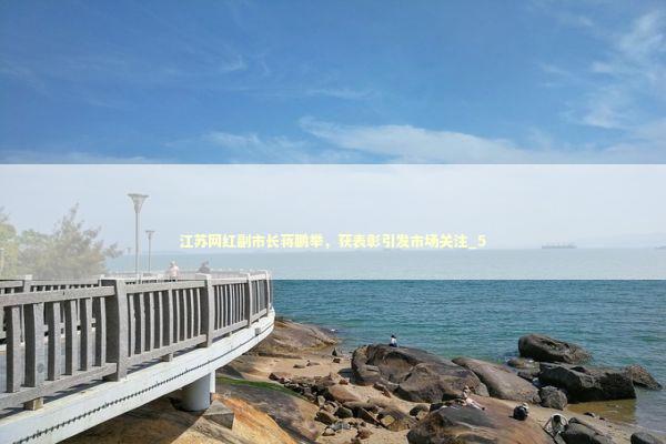 江苏网红副市长蒋鹏举，获表彰引发市场关注_5 新闻