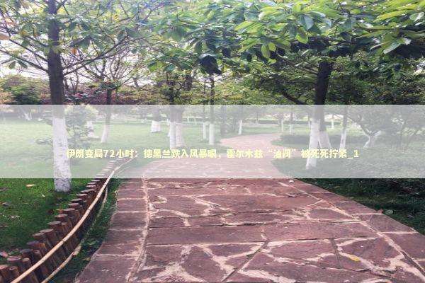 伊朗变局72小时：德黑兰跌入风暴眼，霍尔木兹“油阀”被死死拧紧_1 新闻