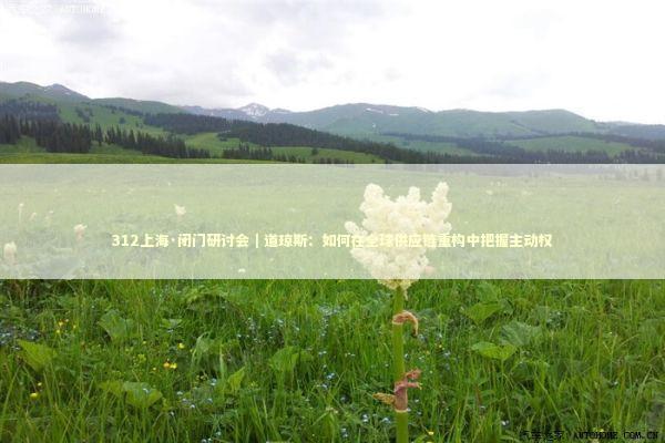 312上海·闭门研讨会｜道琼斯：如何在全球供应链重构中把握主动权 新闻