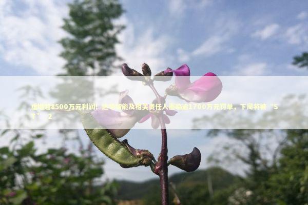 虚增超8500万元利润！达华智能及相关责任人面临逾1700万元罚单，下周将被“ST”_2 新闻